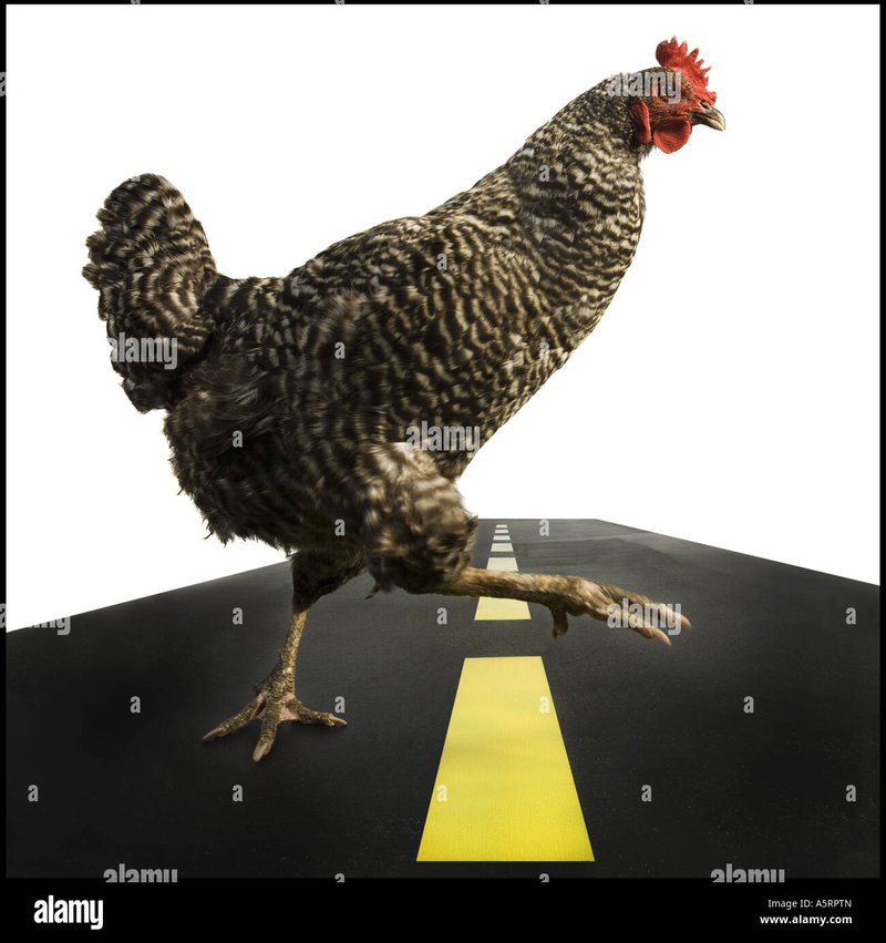 Descubre el Nuevo Juego de Azar de Chicken Road 2 en España, chicken road 2
